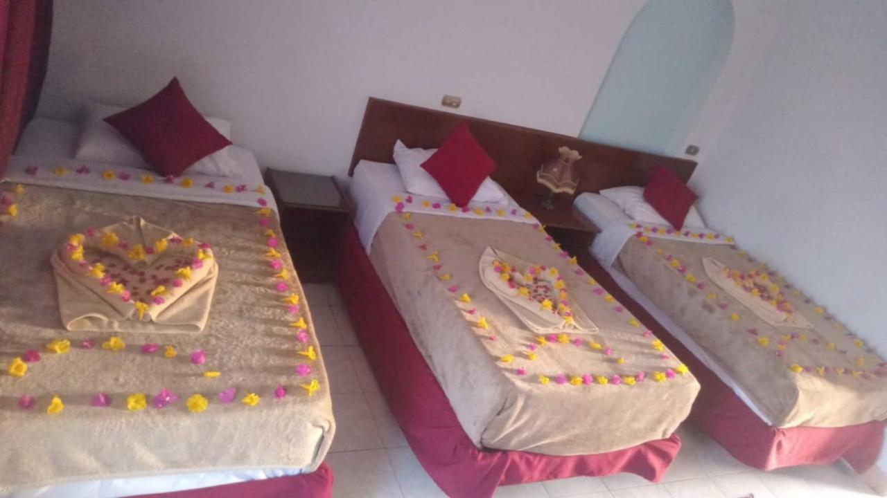 Halomy 3* Sharm el Sheikh