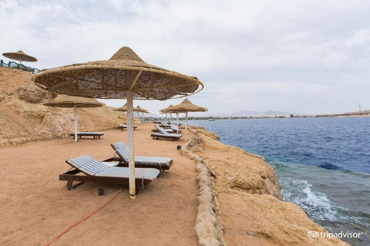 Halomy 3* Sharm el Sheikh